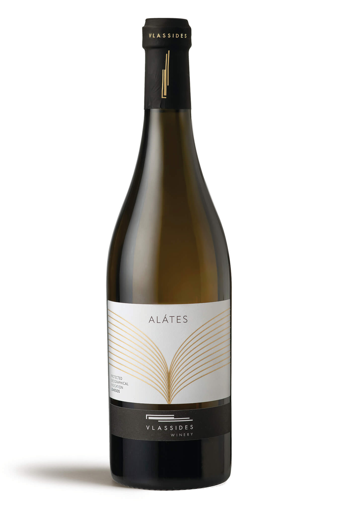 Alates 2022 - Vlassides